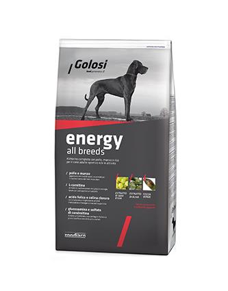 Golosi Dog Energy